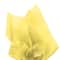 JAM Paper 20" x 26" Tissue Paper, 2 Packs of 10 Sheets